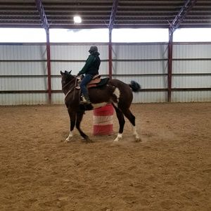 Meet your Posher, Danielle